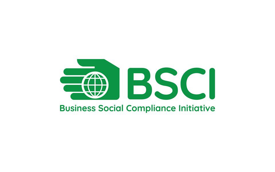 BSCI Denetim Sonuçları Image